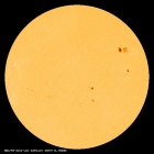 SDO/HMI Continuum Image of the Sun