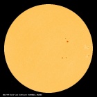 SDO/HMI Continuum Image of the Sun