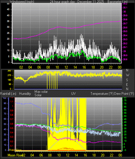 24 Hour Graph for Day 11
