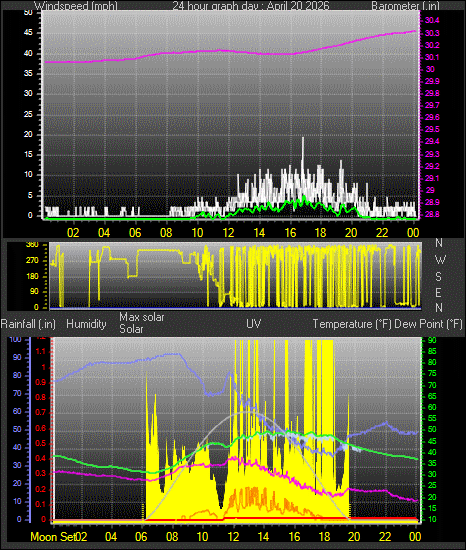 24 Hour Graph for Day 20