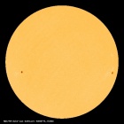 SDO/HMI Continuum Image of the Sun